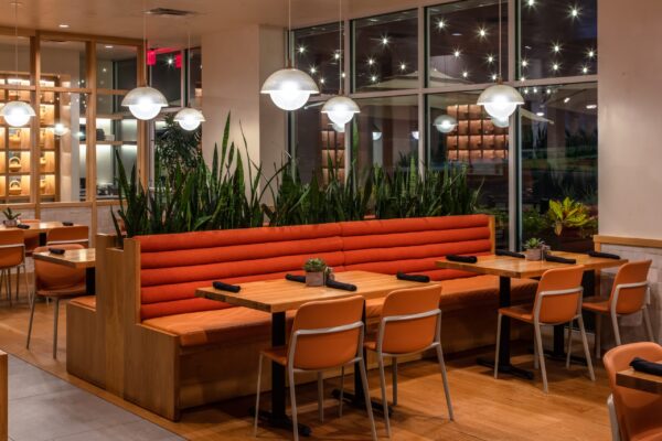 Modern restaurant interior with orange cushioned booth seating and wood tables, decorated with large green plants, hanging spherical lights, and wooden chairs.